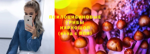 трава Балахна